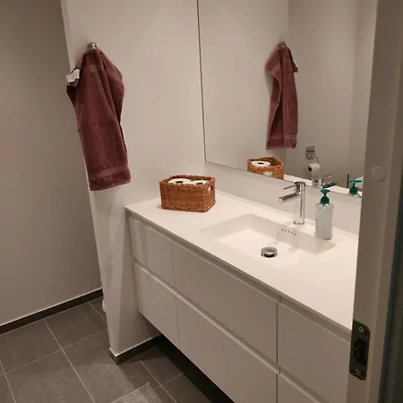 Ny Bolig I Gronne Omgivelser. Apartment Rodovre